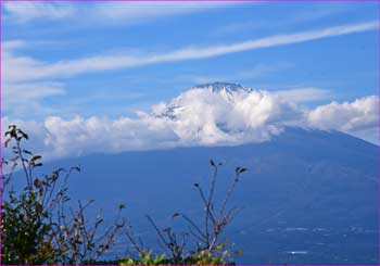 富士山