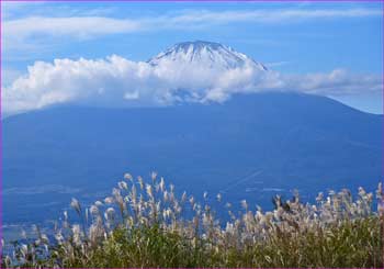 富士山