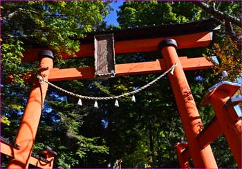 浅間神社鳥居