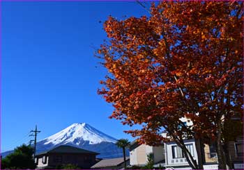 下吉田駅紅葉と富士