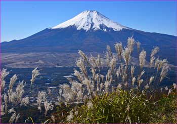 富士山