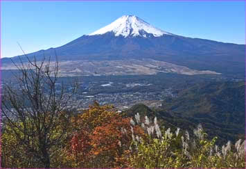 杓子山の富士