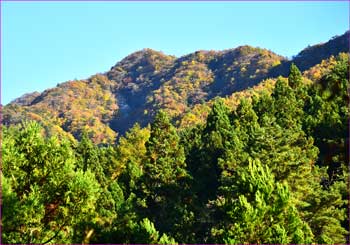 杓子山