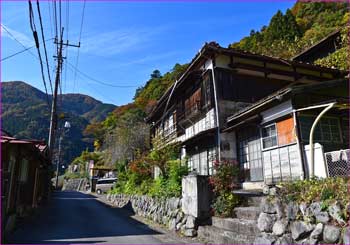 登山道