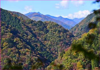 奥多摩の山