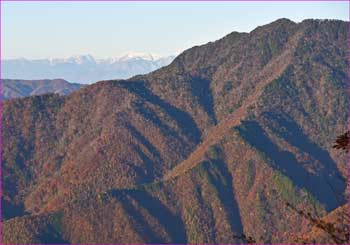 飛龍山