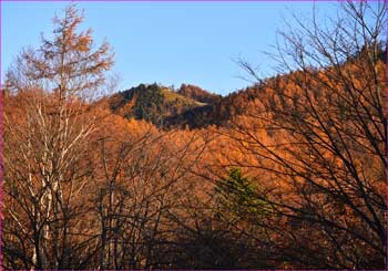 雲取方面