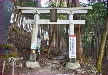 奥宮鳥居