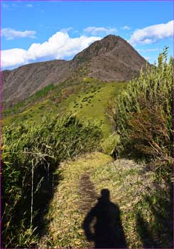 金時山