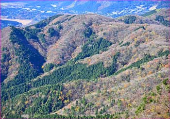 晩秋の尾根