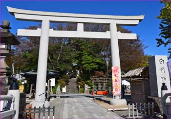 白籏神社鳥居