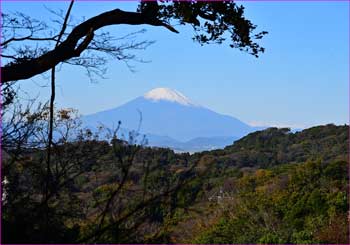 富士山