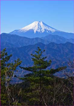 富士山