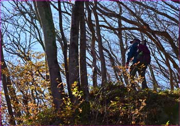 登山者が