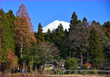 富士山