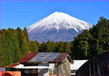 村山地区の富士