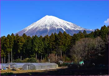 富士山