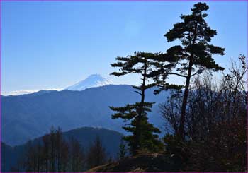 富士山