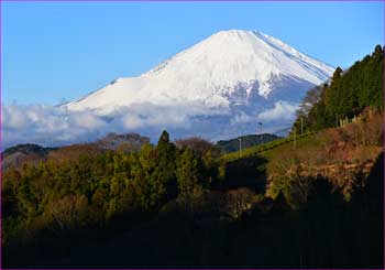 野背開戸の富士