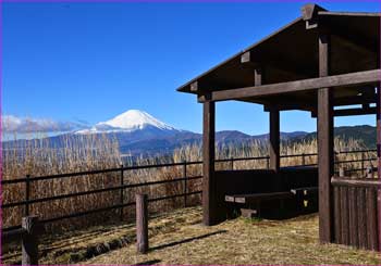 東屋の富士