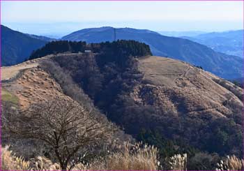 薫る野牧場