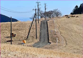 薫る野牧場