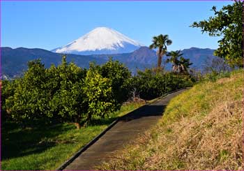 富士山