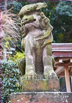 朱の鳥居の狛犬