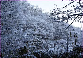 雪山