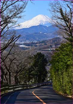 富士山