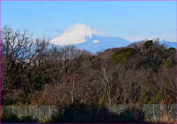 富士山