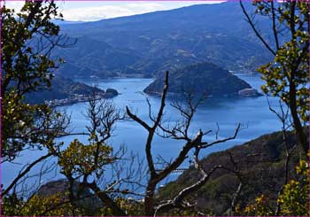 淡島