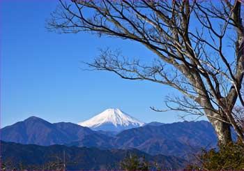 富士山