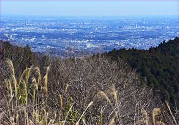 東京展望