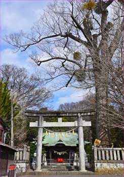 宗我神社