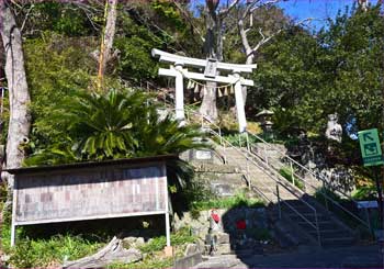 浅間神社鳥居