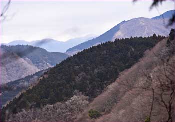 秦野峠方面