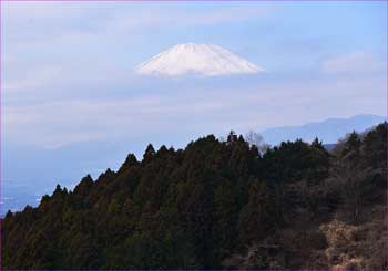 富士山