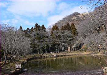 公園の池