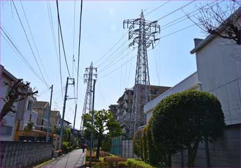 遊歩道と送電線