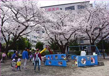 公園の桜