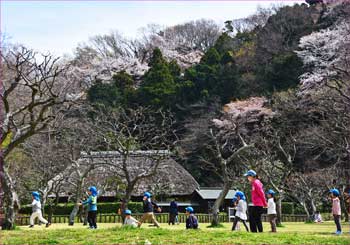 新林公園