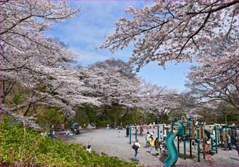 新林公園