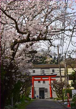 鳥居