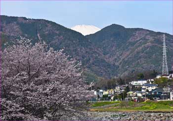 大口広場