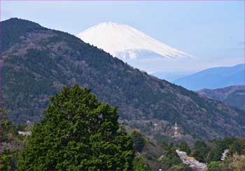 富士山展望