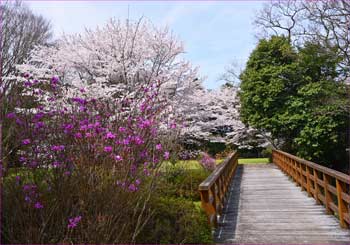 城址公園へ