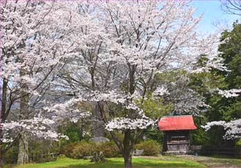 城址公園