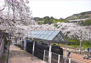 鉄道公園