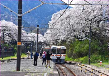 花電車